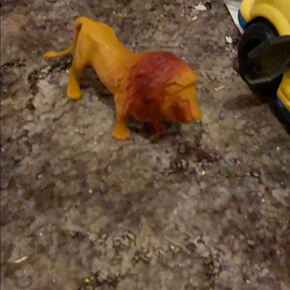 Tiger figuring. - Picture 6 of 9